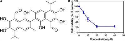 Gossypol Inhibits Non-small Cell Lung Cancer Cells Proliferation by Targeting EGFRL858R/T790M